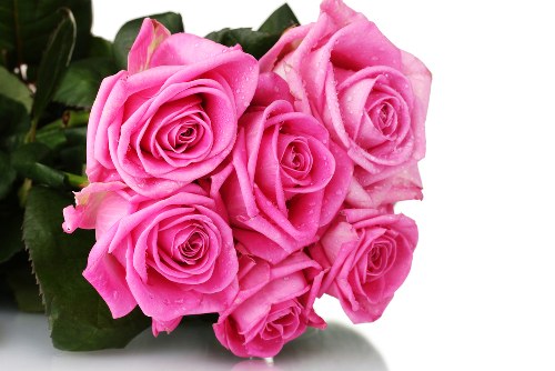 Beautiful bouquet arranged by experienced florist