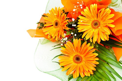 An elegant floral centerpiece for a wedding reception