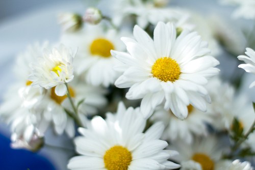 Artistic floral centerpiece in a modern setting