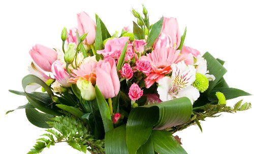 Fresh flowers being arranged in the studio