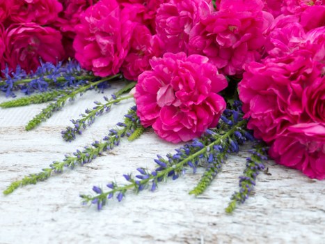 Seasonal flowers beautifully arranged for a special event