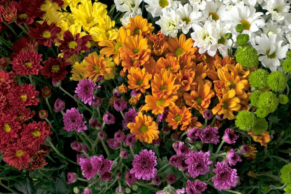 A vibrant floral arrangement featuring a mix of freshly cut flowers placed closely together. The bouquet includes clusters of red and pink flowers with small, rounded petals, alongside bright orange d