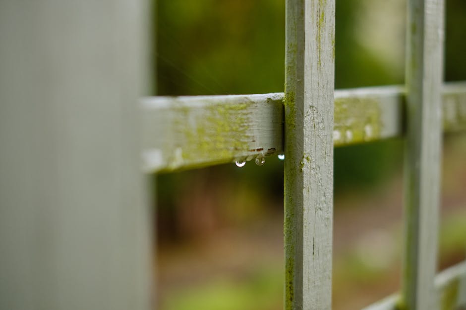 Close-up image of a white wooden fence with visible moss and weathering, featuring a small cluster of water droplets hanging from a horizontal rail. The background is blurred with shades of green, sug