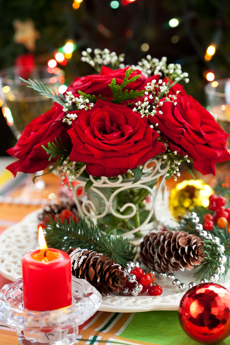 Flowers roses
